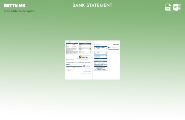 Модерен стил на USA Capital One шаблон за извод од банкарски збор (страници).